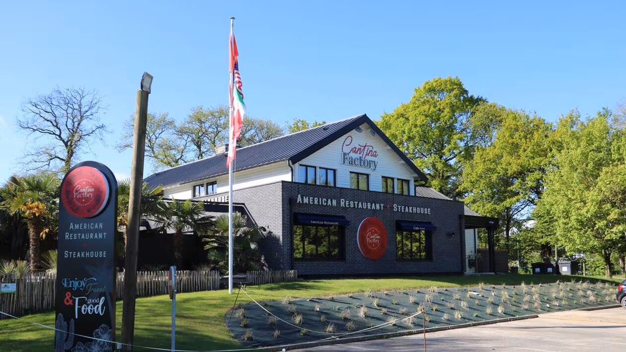 company-cover-Cantina Factory