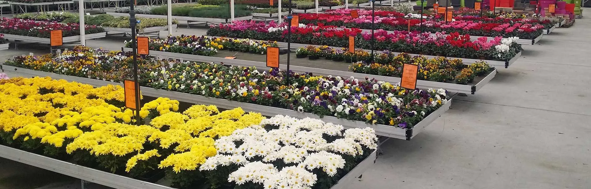 company-cover-SCEA  MEREL HORTICULTURE