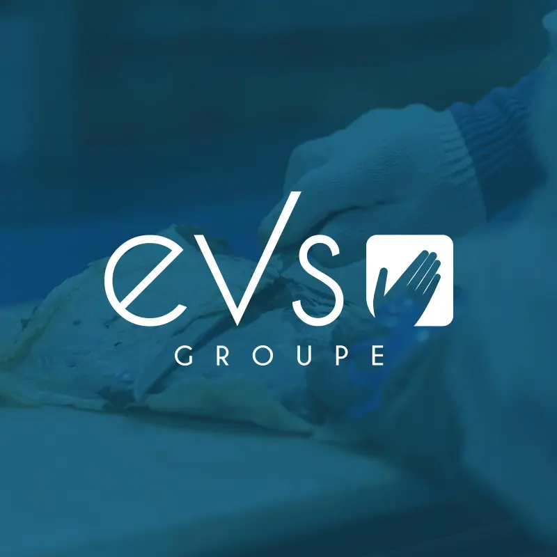 company-logo-GROUPE E.V.S