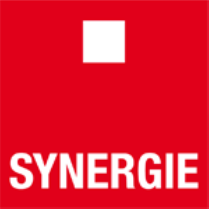 company-logo-SYNERGIE